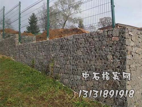 zsgebin19.jpg