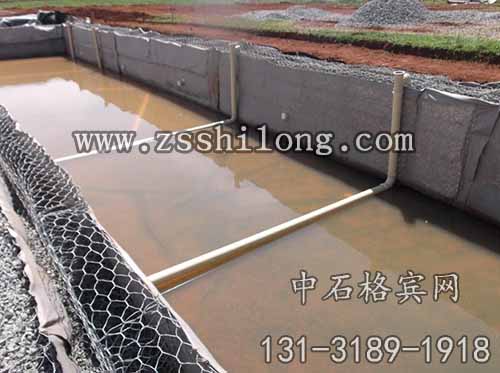 zsshilong24.jpg