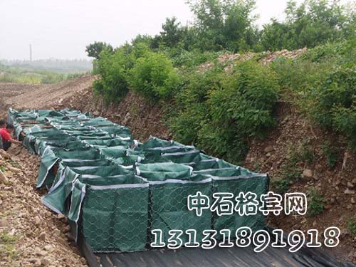 zsshilong67.jpg
